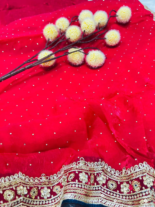 Red Organza Saree with Sequence Booti & Heavy Embroidered Border