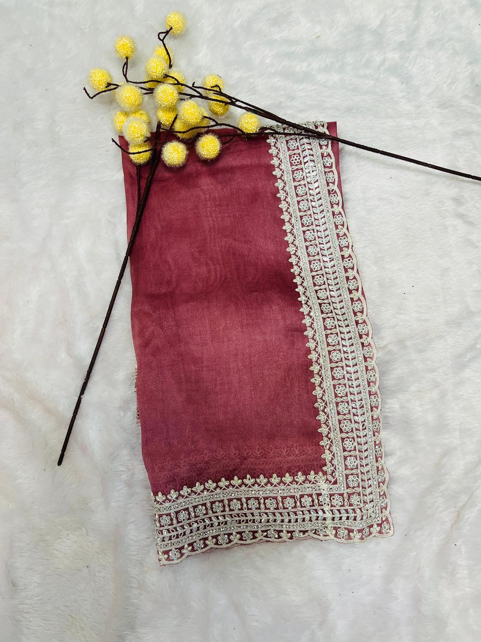 Red Lace Embroidered Border Saree