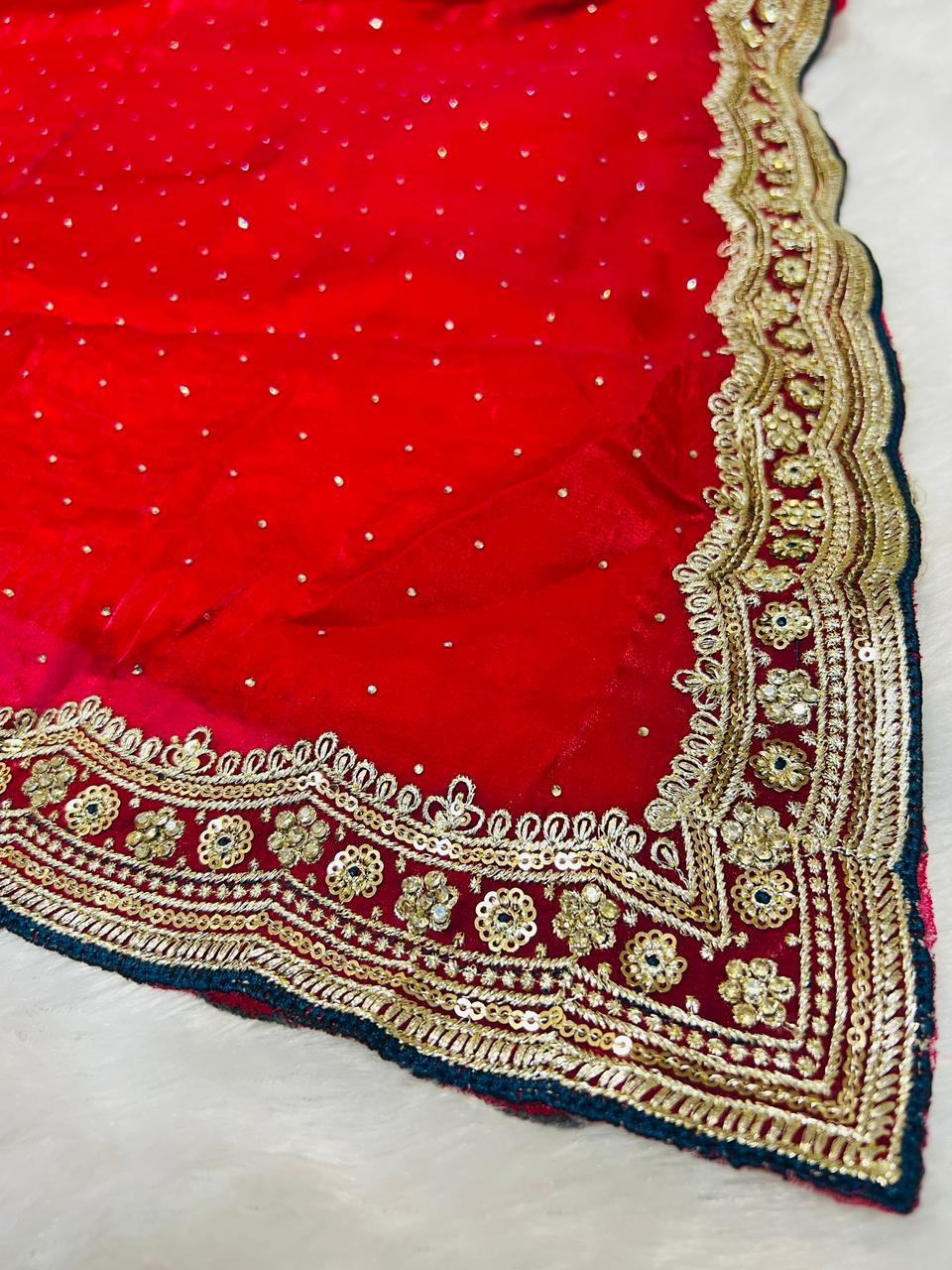 Red Organza Saree with Sequence Booti & Heavy Embroidered Border