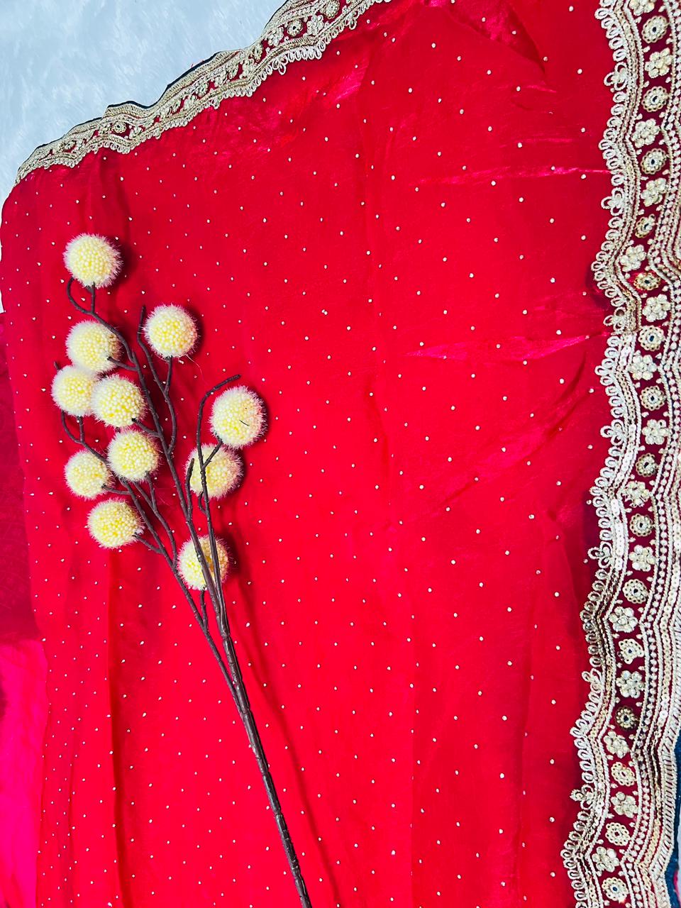 Red Organza Saree with Sequence Booti & Heavy Embroidered Border
